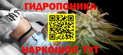 ПСИЛОЦИБИНОВЫЕ ГРИБЫ Заводоуковск