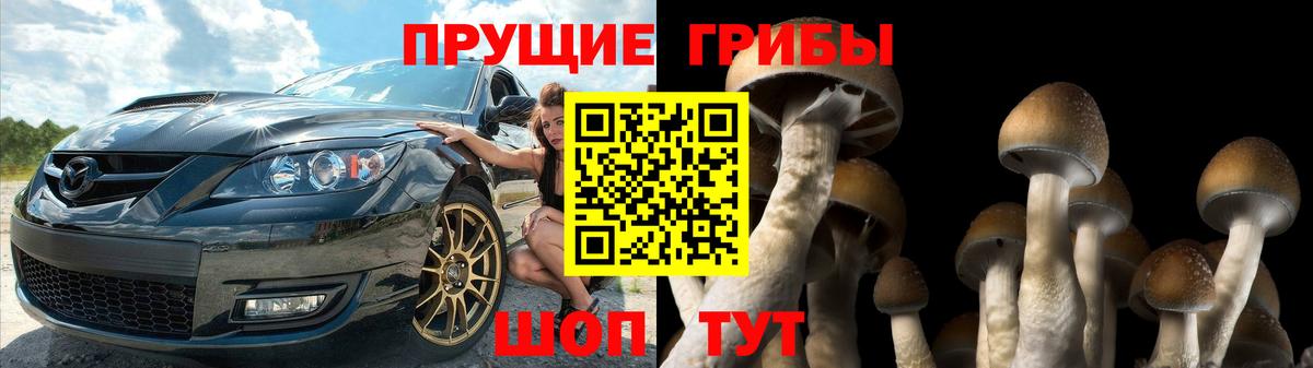 Магнитогорск  Галлюциногенные грибы MAGIC MUSHROOMS  Вход с VPN 